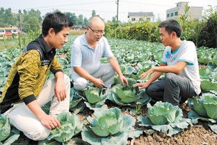 遵义县鸭溪镇大学生村官在田间地头向群众讲授蔬菜种植技术